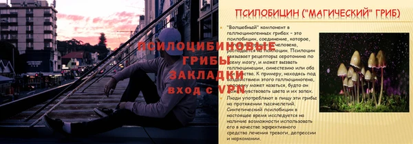 apvp Волосово