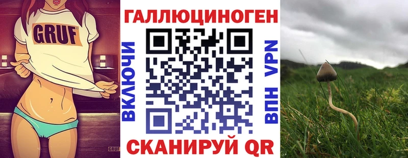 Купить где  Сертолово  Псилоцибиновые грибы Psilocybe 